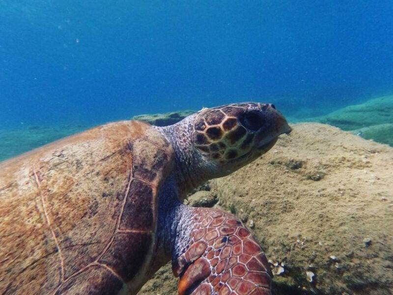 heraklion-beginners-intro-dive-w-2-dives-with-transfer