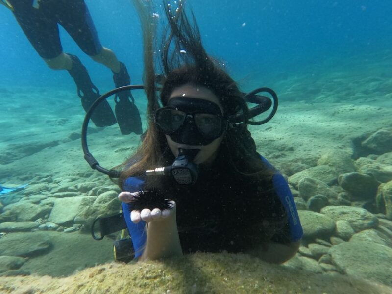 heraklion-beginners-intro-dive-w-2-dives-with-transfer