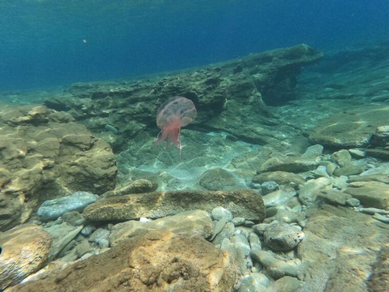 heraklion-beginners-intro-dive-w-2-dives-with-transfer