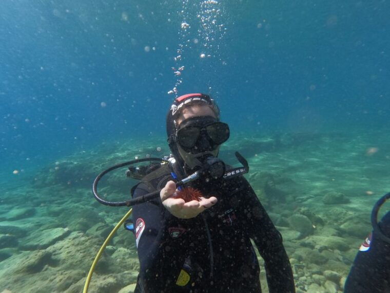 heraklion-beginners-intro-dive-w-2-dives-with-transfer