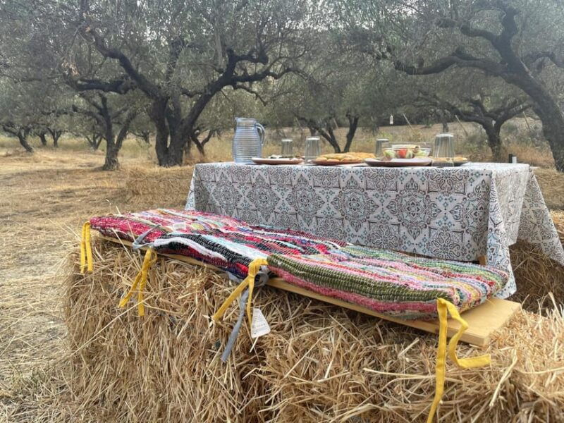 heraklion-cretan-farmers-brunch-and-olive-grove-tour