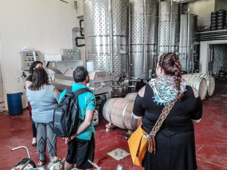 heraklion-cretan-wine-tasting-tour-gourmet-lunch