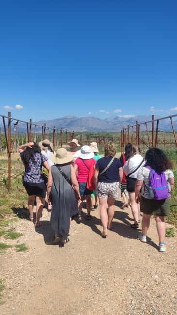 Heraklion: Dafnes Wine Region Private Tour with Lunch - The Sum Up