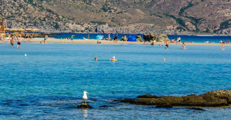 heraklion-elafonisi-beach-discover-the-pink-sand-paradise