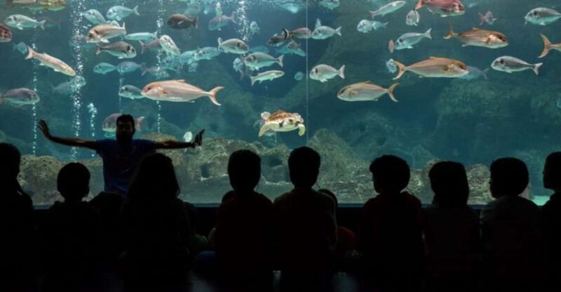 Heraklion: Family Fun Day with Dinosauria and CRETAquarium - Why This Tour Works: Highlights and Benefits