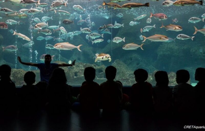 Heraklion: Family Fun Day with Dinosauria and CRETAquarium - Final Thoughts: Is This Tour for You?