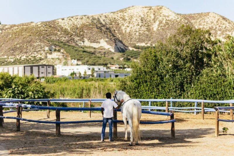 heraklion-finikia-horse-riding-tour-with-lunch-or-dinner