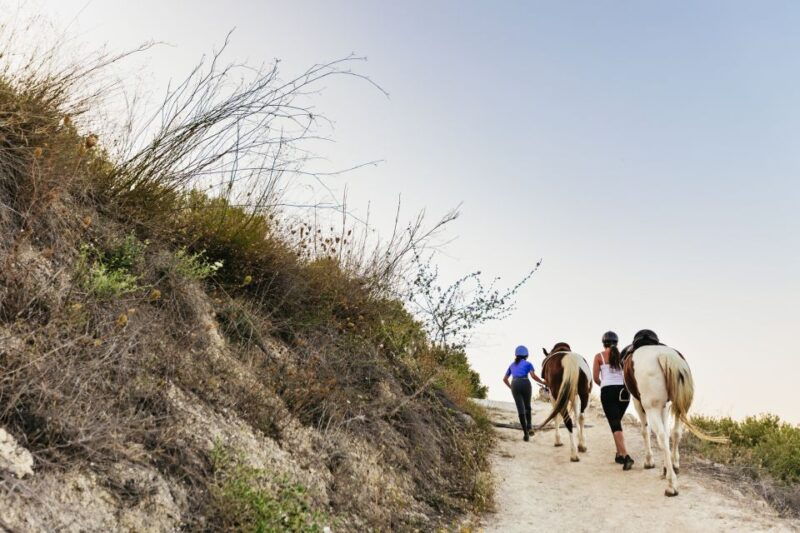 heraklion-finikia-horse-riding-tour-with-lunch-or-dinner