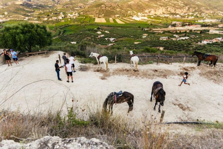 heraklion-finikia-horse-riding-tour-with-lunch-or-dinner
