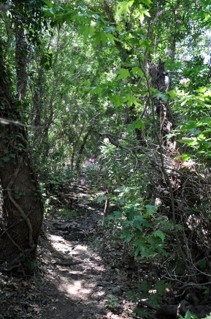 Heraklion: Full Day to Rihti Waterfalls, Mochlos, Azoria - Exploring the Day in Detail