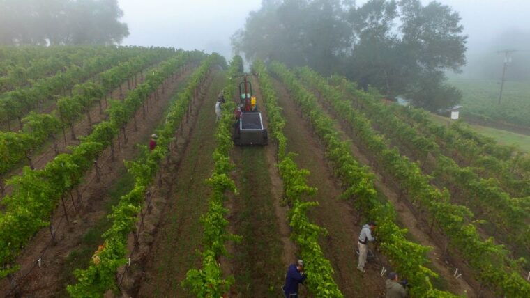 heraklion-half-day-semi-private-wine-tour-with-tastings