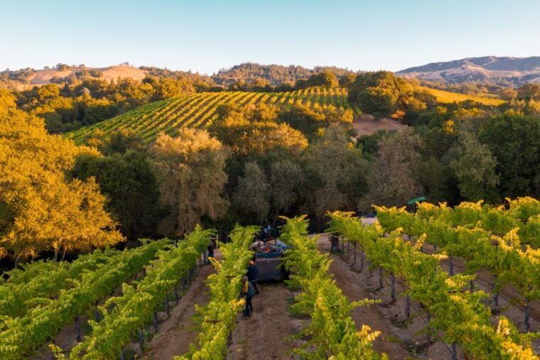 heraklion-half-day-semi-private-wine-tour-with-tastings