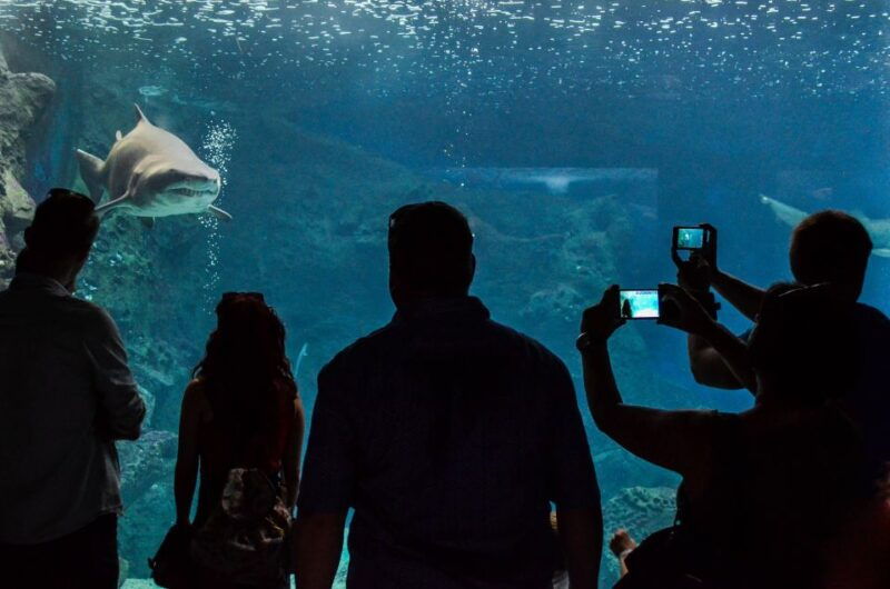 heraklion-heraklion-market-cretaquarium-skip-the-line