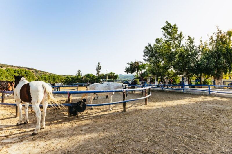heraklion-horse-ride-in-the-cretan-mountains