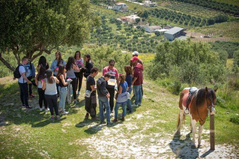 heraklion-horseriding-day-tour-with-lunch-and-transfer