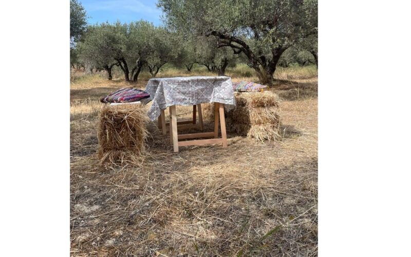 heraklion-olive-dragon-farm-tour-cretan-farmers-brunch