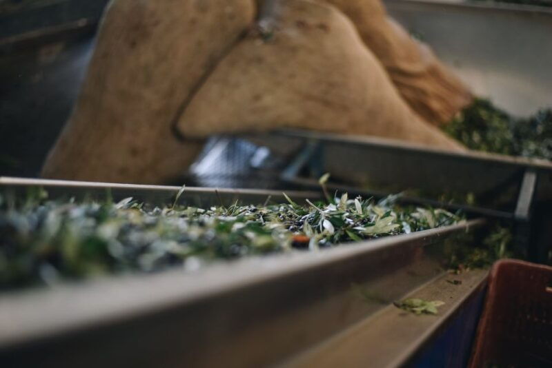 heraklion-olive-farm-tour-with-tasting-of-local-delicacies