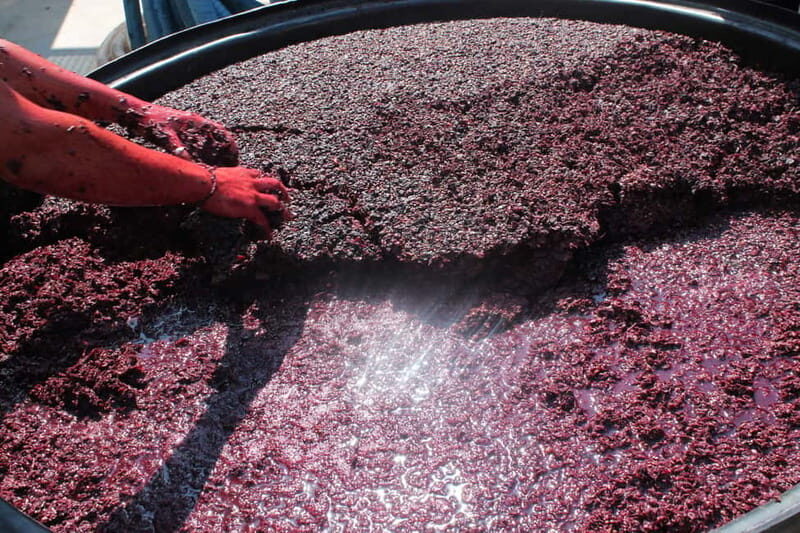Heraklion: Olive oil and Wine Tour with Lunch - FAQ