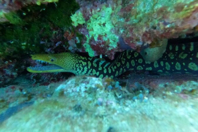 heraklion-scuba-diving-experience-for-beginners-2