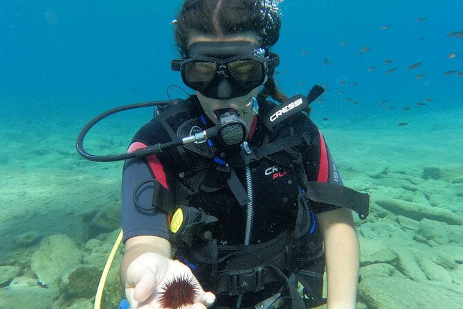 heraklion-scuba-diving-experience-for-beginners-4