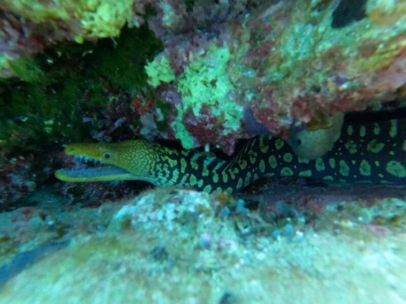 heraklion-scuba-diving-experience-for-beginners-5