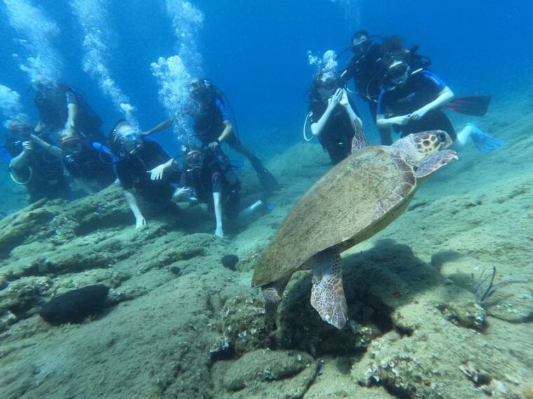 heraklion-scuba-diving-experience-for-beginners-5