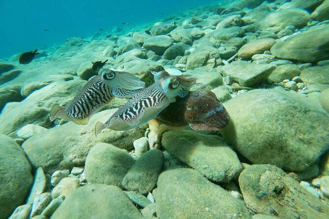 heraklion-scuba-diving-experience-for-beginners
