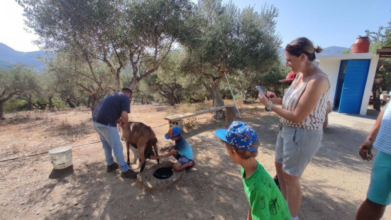 heraklion-self-driving-4x4-jeep-off-road-tour-with-lunch