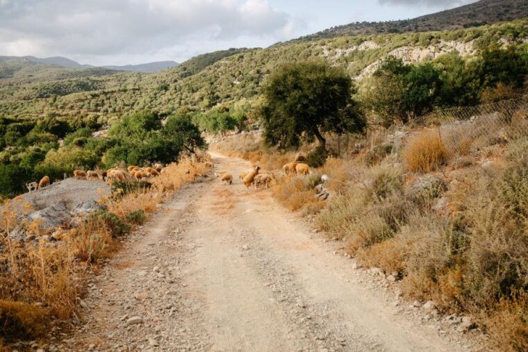 heraklion-self-driving-4x4-jeep-off-road-tour-with-lunch