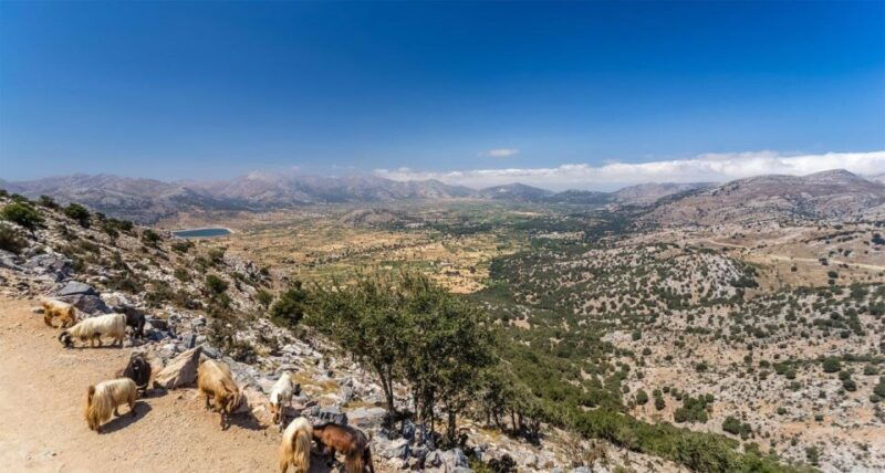 heraklion-sunset-safari-with-dinner-prosecco