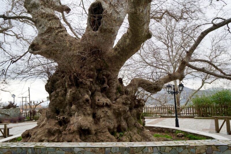 Heraklion: Tour to Cave of Zeus, Mochos Village, & Knossos - Frequently Asked Questions