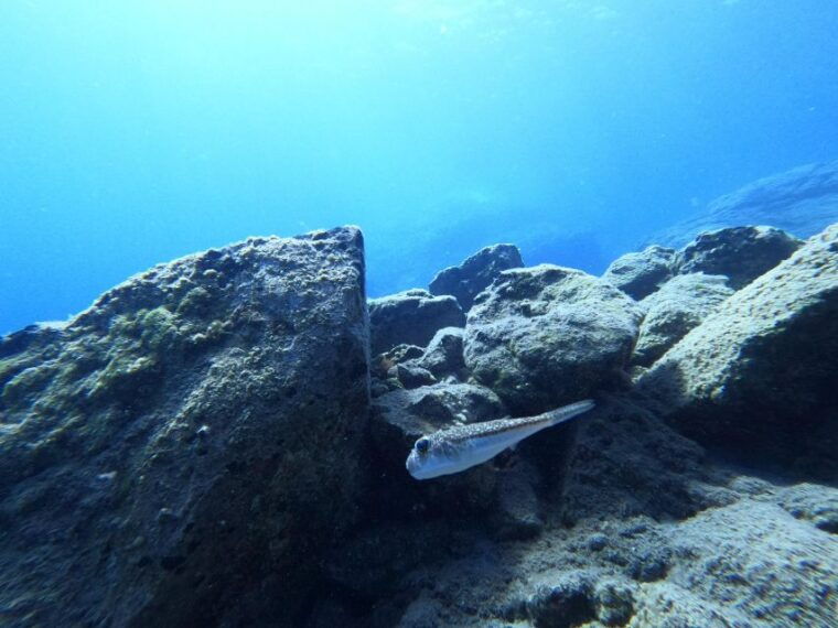 heraklion-try-scuba-diving-for-beginners-1-dive