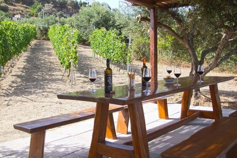 HERAKLION: Wine tasting at Douloufakis Vineyards ARISMARI - HERAKLION: Wine tasting at Douloufakis Vineyards ARISMARI