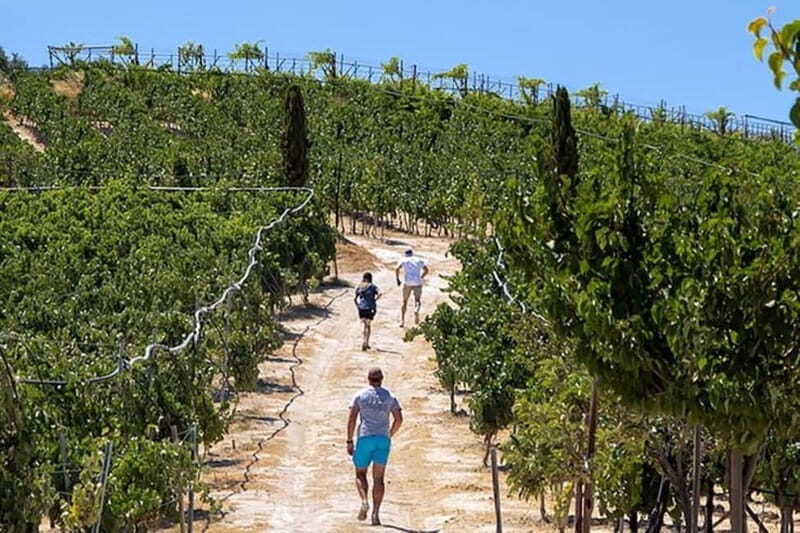 HERAKLION: Wine tasting at Douloufakis Vineyards ARISMARI - A Closer Look at the Douloufakis Experience