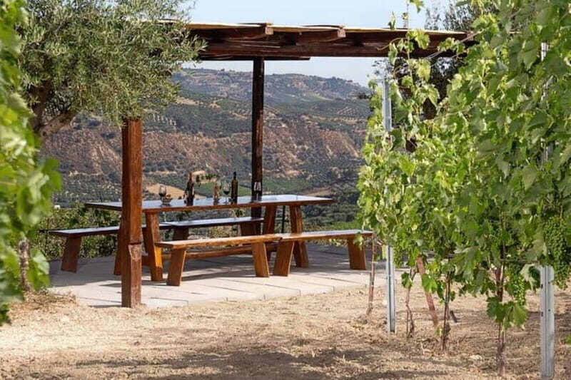 HERAKLION: Wine tasting at Douloufakis Vineyards ARISMARI - Practical Details and Tips
