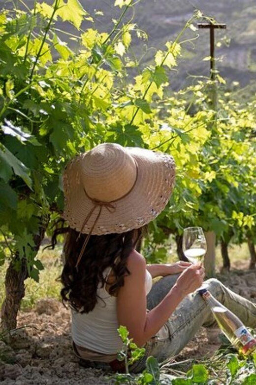 HERAKLION: Wine tasting at Douloufakis Vineyards ARISMARI - FAQ
