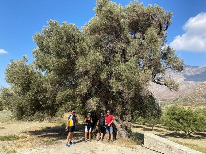 heraklion-wine-tasting-e-bike-tour