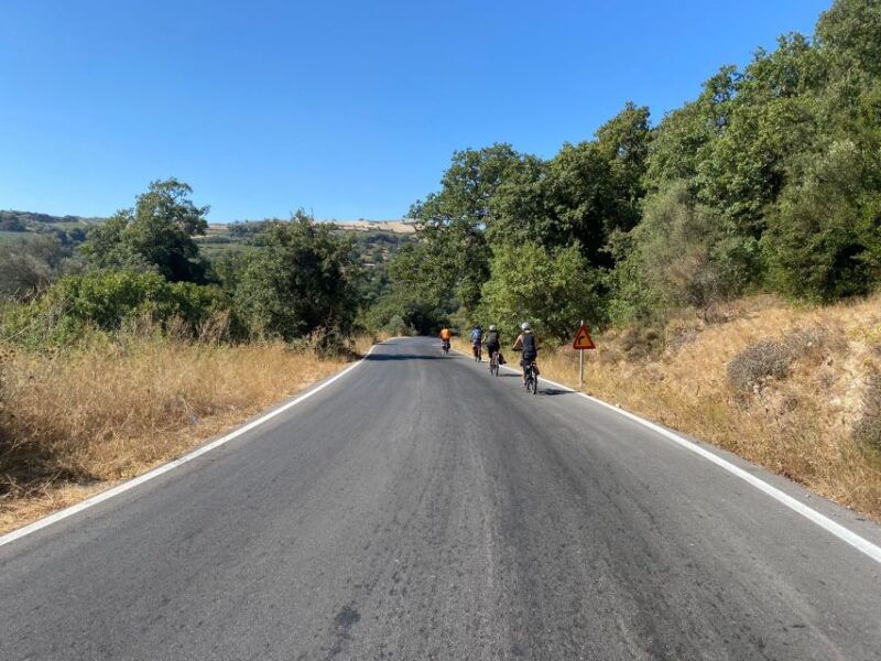 heraklion-wine-tasting-e-bike-tour
