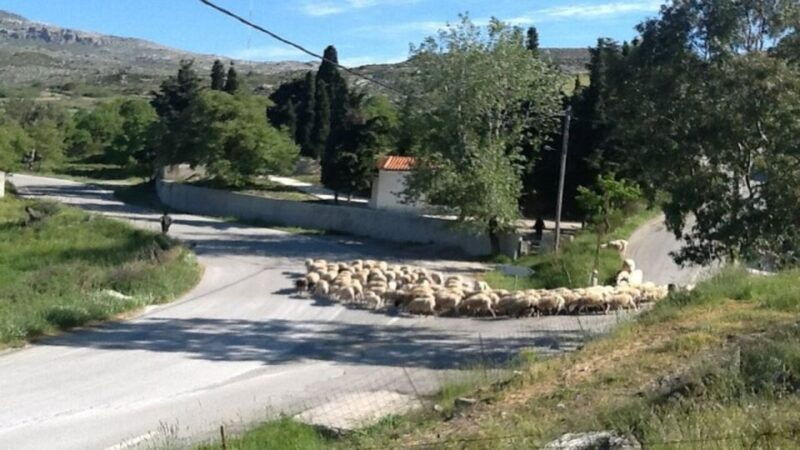 heraklioncretan-villages-with-patsos-gorge