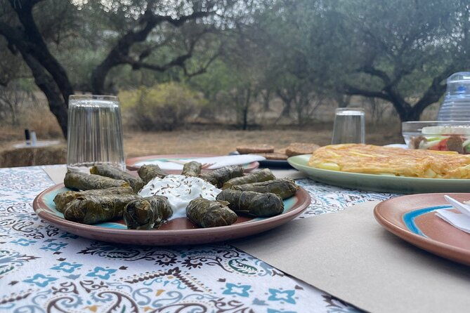 heraklionolive-dragon-fruit-farm-tour-cretan-farmers-brunch