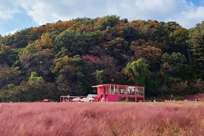 Herb Island and Sanjung Lake and Bidulginang Water Falls - What Makes This Tour Stand Out?