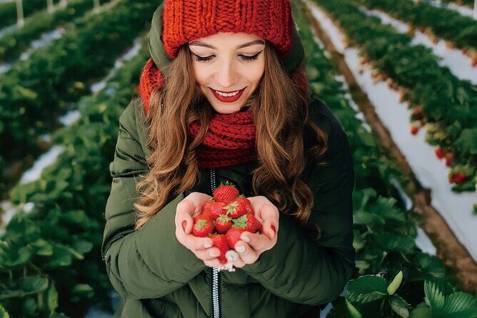 Herb Island & Sanjung Lake & Bidulginang Water Falls & Strawberry - Final Thoughts: Who Is This Tour Best For?