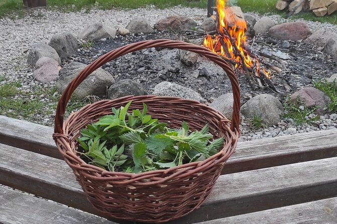 herbal-and-wild-food-walking-tour-in-warsaw-area
