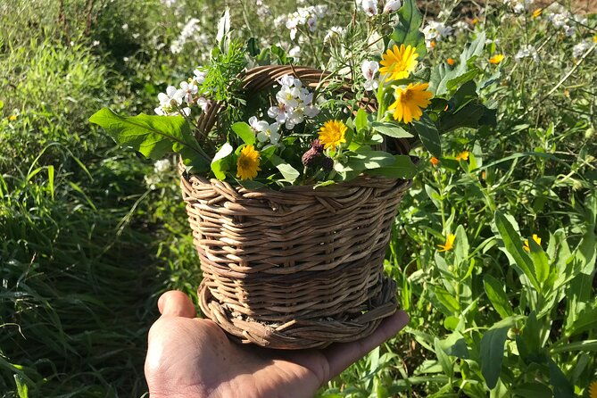 herbs-lab-from-plant-to-glass