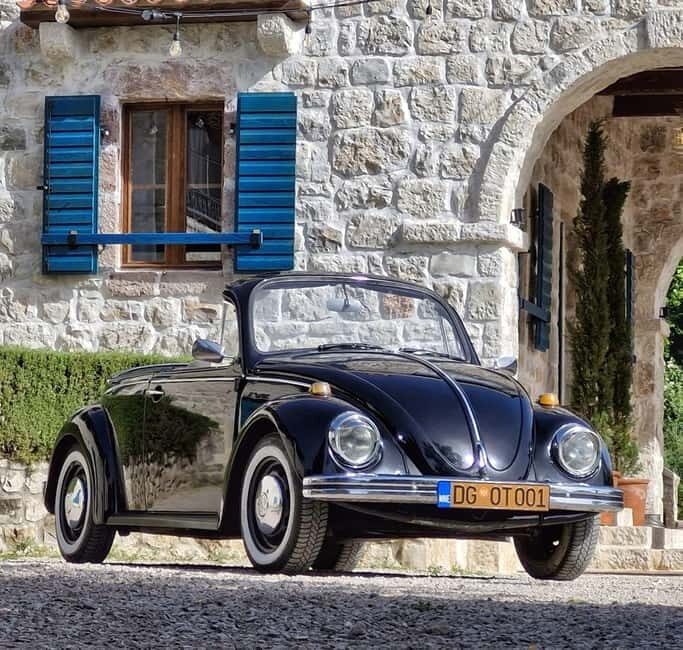Herceg Novi: Old Timer Tour & Wine Tasting Charms - Key Points
