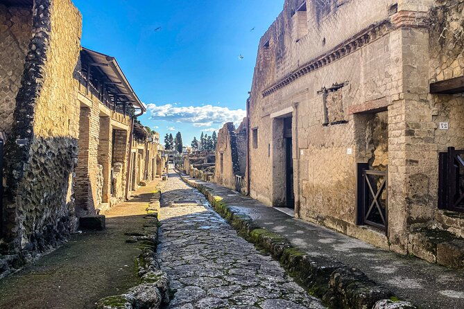 herculaneum-3d-skip-the-line-walking-tour