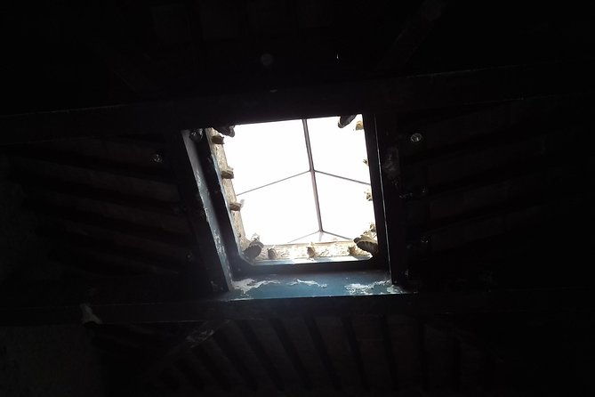 herculaneum-and-the-amalfi-coastsorrento-positano