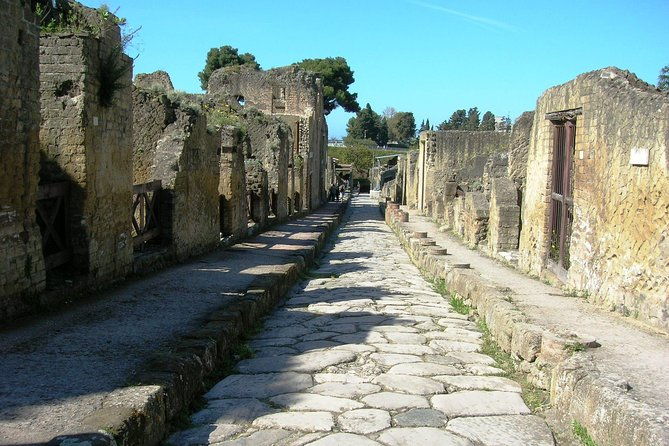 herculaneum-guided-tour-amalfi-coast-private-tour-with-driver-from-naples