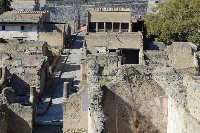 herculaneum-private-guided-tour-led-by-a-local-top-rated-guide-all-inclusive-2