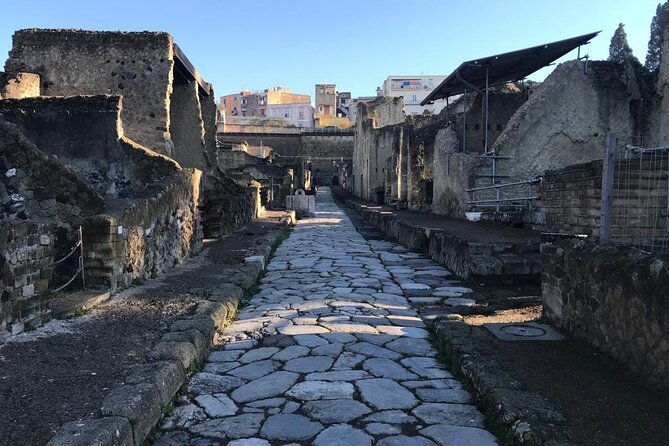 herculaneum-private-tour-skip-the-line-admission-included-2